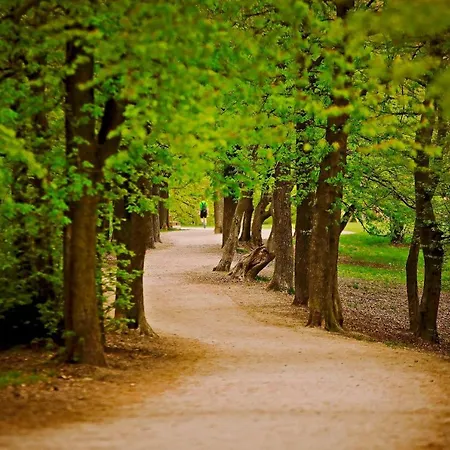 Romantic Two Bedroom Close To Normafa With Private Parking Budapeszt