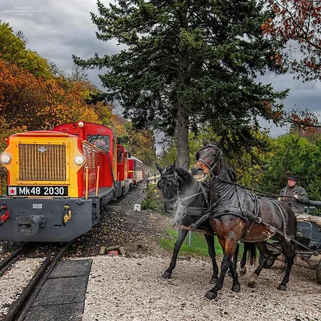 Romantic Two Bedroom Close To Normafa With Private Parking 부다페스트