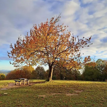 Romantic Two Bedroom Close To Normafa With Private Parking 아파트 부다페스트