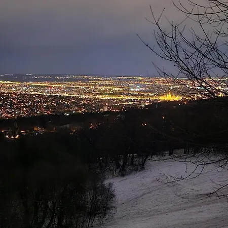 Romantic Two Bedroom Close To Normafa With Private Parking Apartment