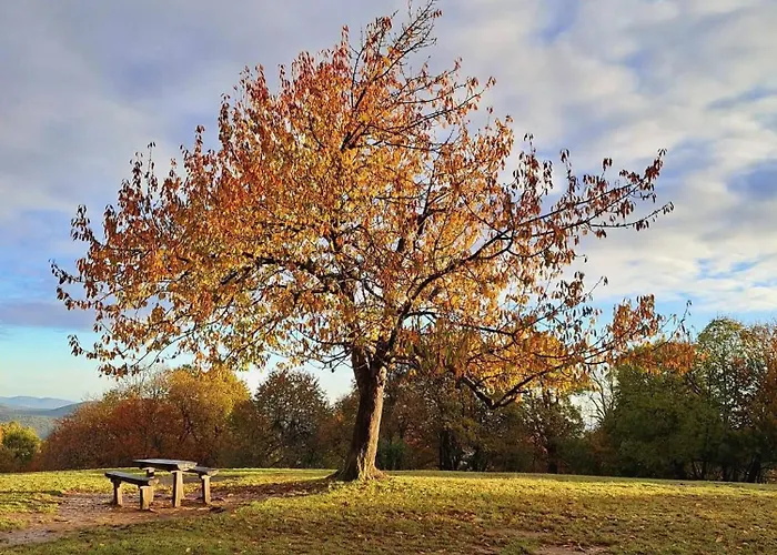 Romantic Two Bedroom Close To Normafa With Private Parking Apartment Budapest